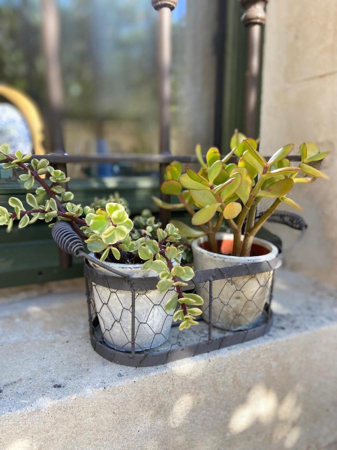 Le Jardinet De Rosa Maison De Village Eygalières Exteriér fotografie