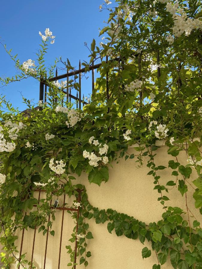 Le Jardinet De Rosa Maison De Village Eygalières Exteriér fotografie